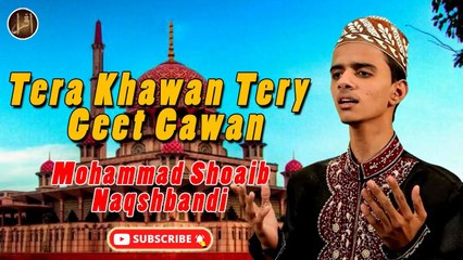 Tera Khawan Tery Geet Gawan | Naat | Mohammad Shoaib Naqshbandi | HD Video