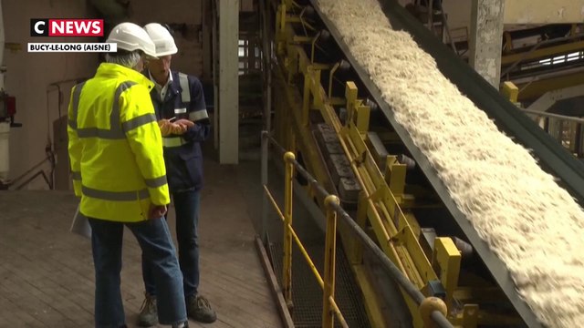 Agriculture : Les sucriers avancent la récolte des betteraves par crainte d'une pénurie de gaz