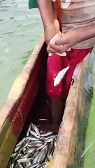 Sri Lankan Fastest Fishing Skills #shorts