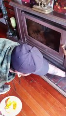 Recurring Possum Climbs Down Chimney for Treats