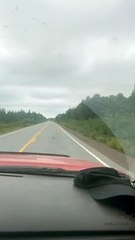Car Driving on Road with Kayak in Back Seat