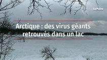 Arctique : des virus géants retrouvés dans un lac