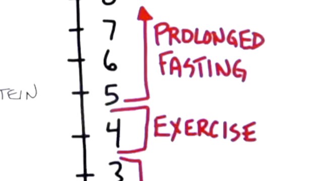 How To Lose Extreme Belly Fat Weight Loss Tips -Dr Burg Dc