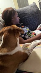 Pupper évite considérablement le contact avec les yeux - Buzz Buddy