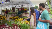 Londoners throng flower market in wake of Queen's death