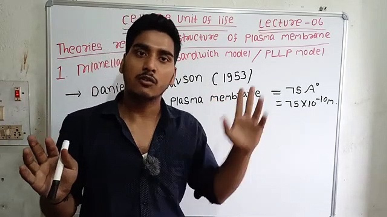 Theories regarding structure of plasma membrane | components of plasma membrane