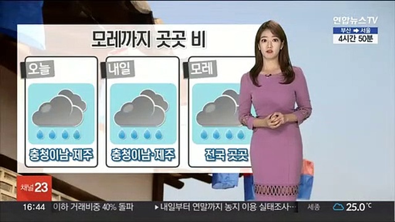 [날씨] 내일 충청이남 비…태풍 '무이파' 중국 향해