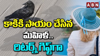 కాకికి సాయం చేసిన మహిళ.. రిటర్న్‌ గిఫ్ట్‌గా... | ABN Digital