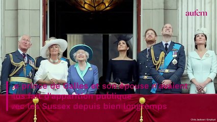 William et Harry réunis : les dessous tendus d'une réconciliation très attendue