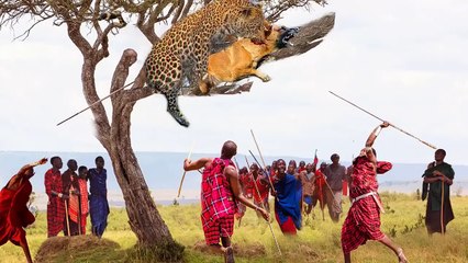 رعب ... فهود برية تقتحم منازل الناس لمهاجمة الكلاب وذبحها - إنقاذ القرويين المذهل للكلاب