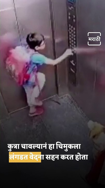 Video: Woman Confronted By Man Whose Son Was Bitten By Her Dog in Ghaziabad Housing Society Lift