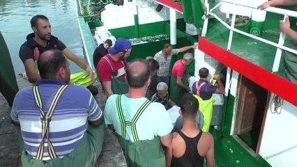 Palamudun tanesi 30 liraya kadar düştü