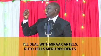 I'll deal with miraa cartels, Ruto tells Meru residents