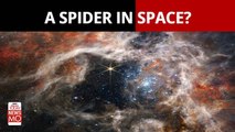 James Webb Telescope Shares Stellar Image Of Tarantula Nebula