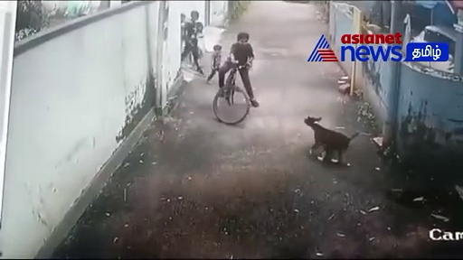 Viral video : தொடரும் நாய்கள் தொல்லை! சிறுவனை கடித்து குதறிய தெருநாய்!
