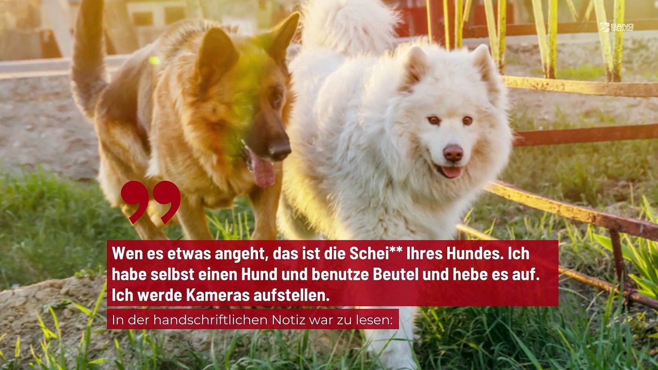Verärgerter Nachbar schmiert in seinem Garten gefundenen Hundekot an Wand