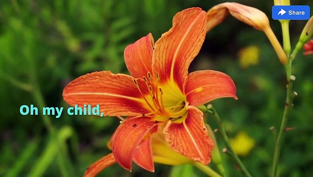 God's Message today! God's message today for me! God's message today prophetic word! Divine message