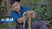 Doc Ferds Recio dissects an asian swamp eel | Born to be Wild