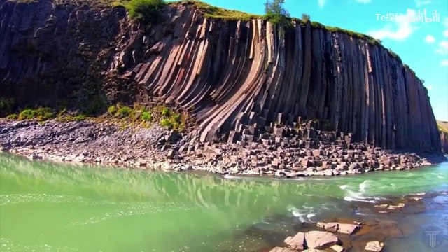 Why do trees grow fish? 5 were photographed by camera, incredibly bizarre events!