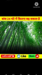 Facts Vash 24 gante me kitna badta hai/