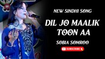 Dil Jo Maalik Toon Aa | Sobia Somroo | New Sindhi Song | Sindhi Gaana