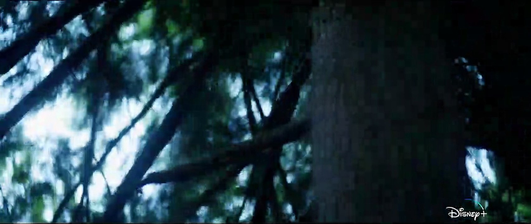 Percy Jackson And The Olympians - saison 1 Band...