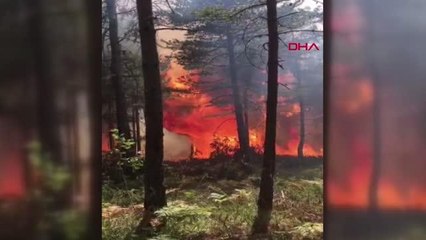 REŞADİYE'DE AYNI BÖLGEDE YENİ ORMAN YANGINI-1
