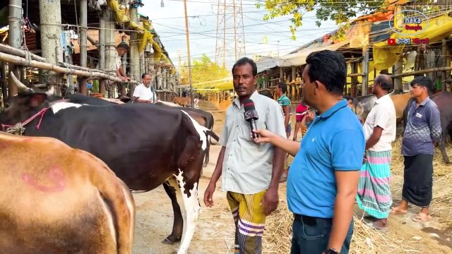 ঈদের ৯ দিন পর গাবতলী হাটের চিত্র! কিছু কিছু ছাগল ও গরু চোখে পড়ল! শোনা হলো গান।।18 July 2022