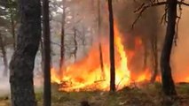 Dün söndürülen ormanda yeniden yangın çıktı