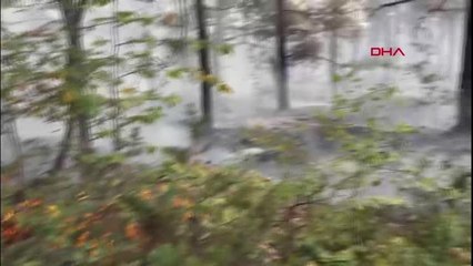 Son Dakika | TOKAT'TA DÜN SÖNDÜRÜLEN ORMANDA YENİDEN YANGIN ÇIKTI