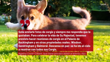 ¡Los propietarios de Corgis rendirán un homenaje a la reina Isabel II!