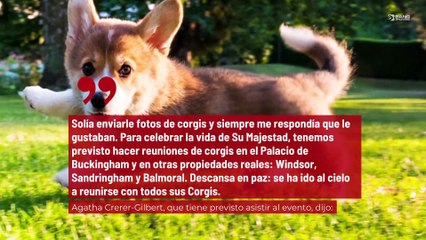 Download Video: ¡Los propietarios de Corgis rendirán un homenaje a la reina Isabel II!