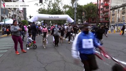 Owners and dog run first canine marathon in Mexico City