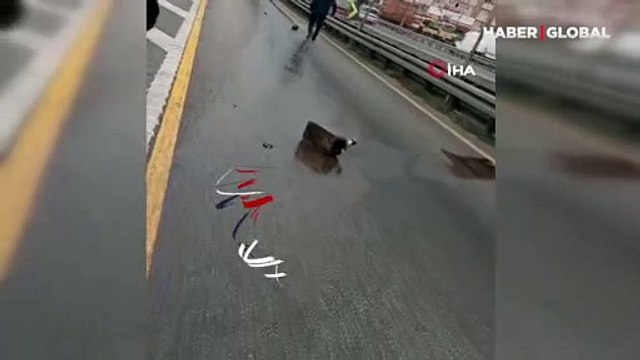 Metrobüs yolunda ilginç olay kamerada: Yolcular panikle kaçtı