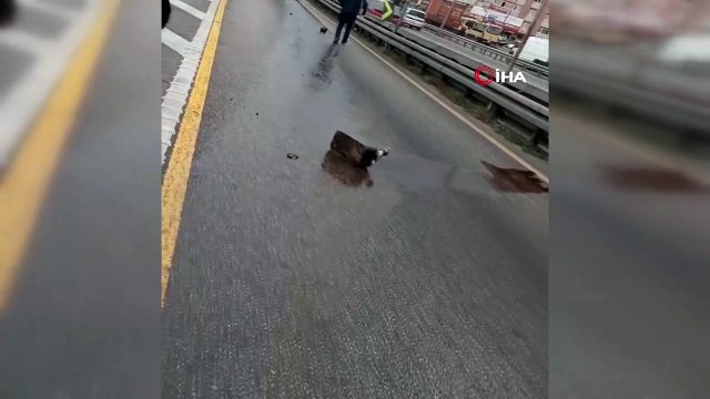 İmamoğlu dökülüyor… Metrobüs yolunda ilginç olay