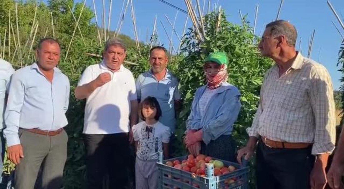 Son dakika haberi... Cengiz Gökçel'den Domates İhracatına Sınır Getirilmesine Tepki: "Bu Karar Kaldırılmazsa Gelecek Yıl Çiftçi Üretmeyecek"