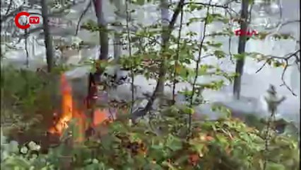 Tokat’ta aynı yerde ikinci kez orman yangını çıktı