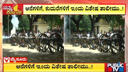 Dasara Elephants, Horses Undergo Cannon-firing Drills In Mysuru | Public TV
