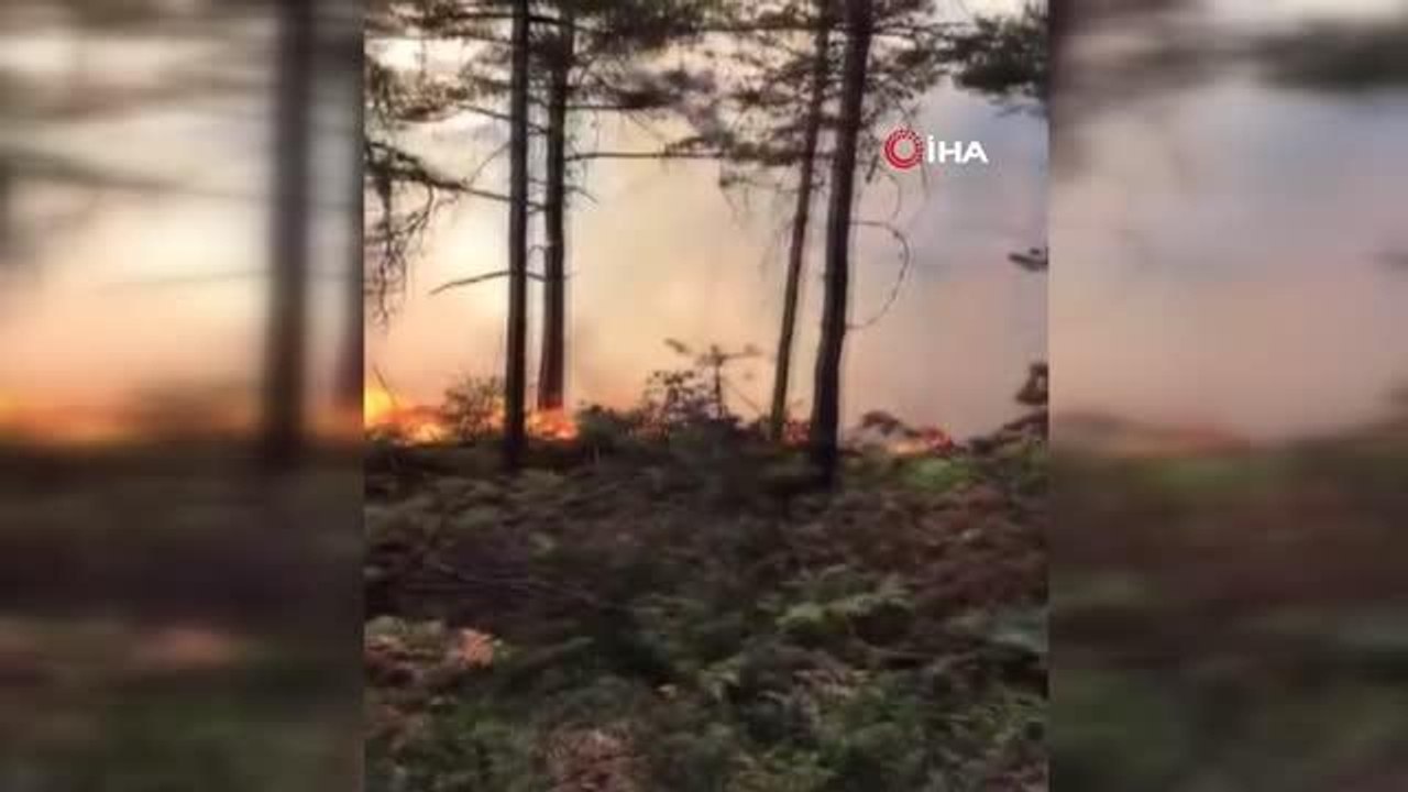 Tokat haberleri! Tokat'ta aynı yerde ikinci orman yangını