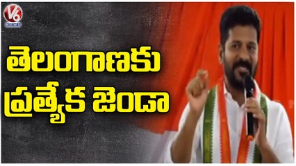 PCC Chief Revanth Reddy Fire On TRS And BJP Over Telangana Liberation Day Celebrations | V6 News