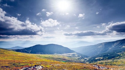 Beach Autumn Valley Forest flowers Islands Free HD Videos no copyright