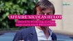 Affaire Nicolas Hulot : l'enquête pour viol classée sans suite pour prescription