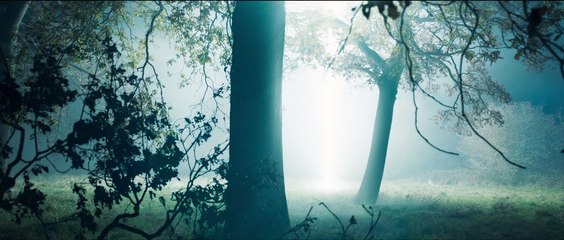 Invasión secreta - Tráiler Oficial Subtitulado   Disney+