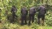 Police step up search for guns used in Olivia Pratt-Korbel murder - LiverpoolWorld news bulletin