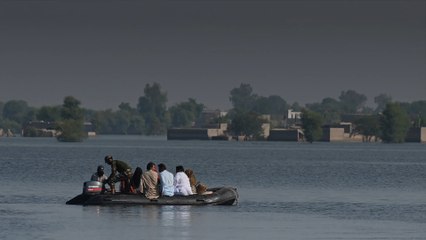 Après les inondations, l'ONU décrit un "carnage climatique" au Pakistan