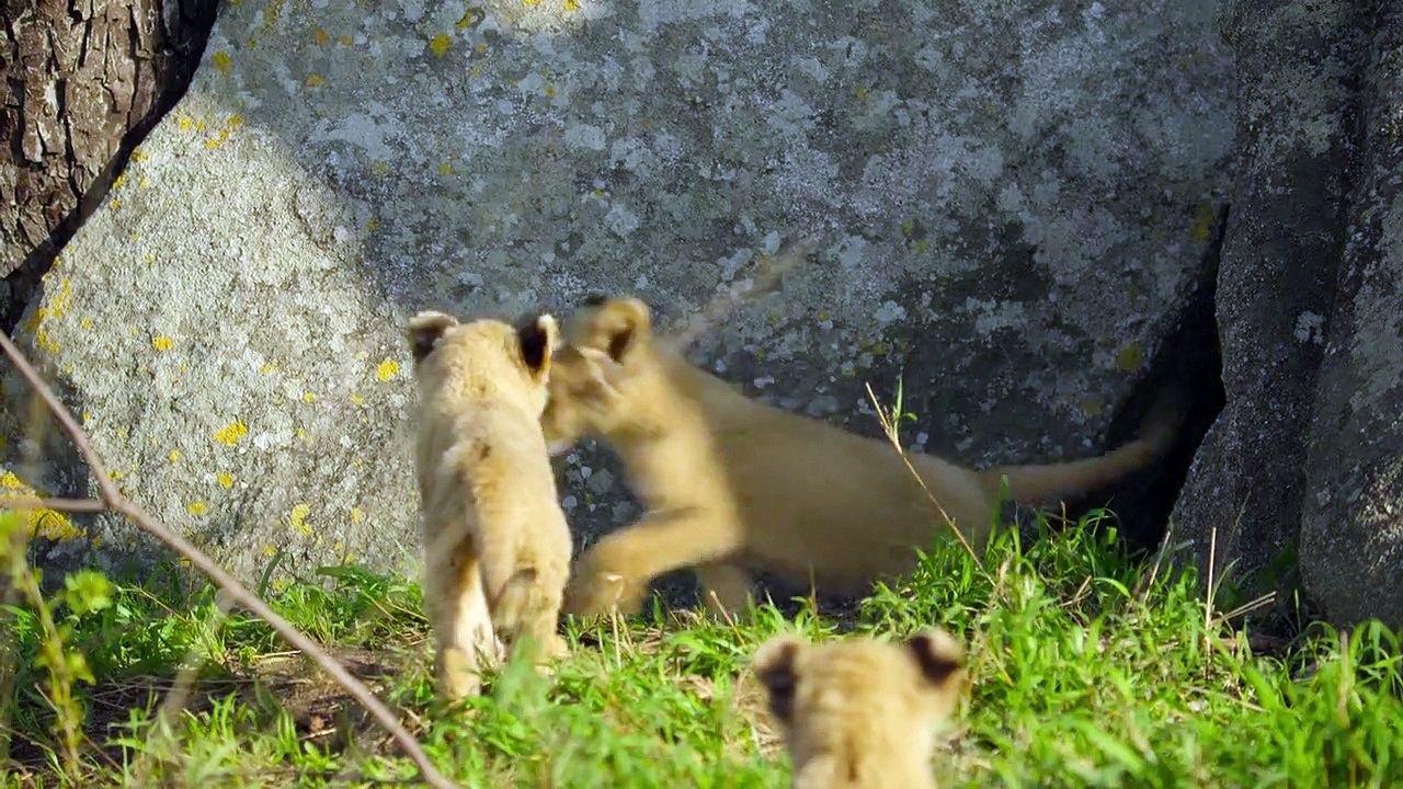 Wilde Babys Staffel 1 Folge 2 HD Deutsch