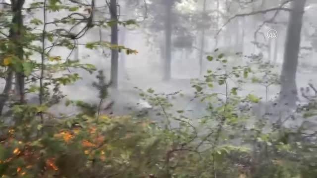 Tokat gündem haberi... Reşadiye ilçesinde çıkan orman yangını kontrol altına alındı