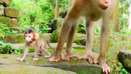 Tiny Rainbow C-rying Tan-trum by adopt mother Libby left her alone