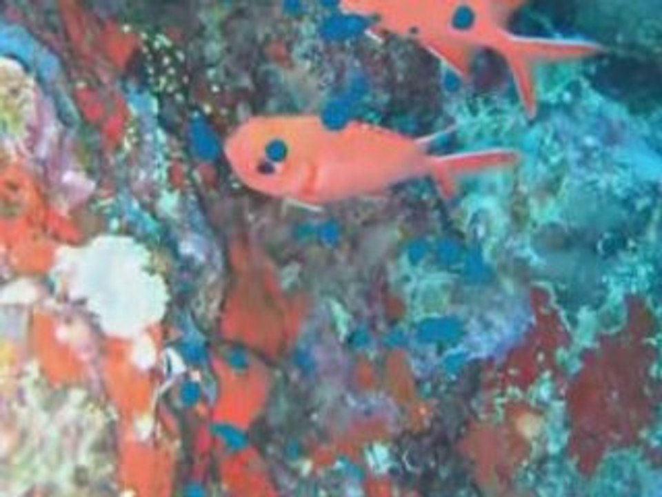 Février aux maldives avec Made in Blue