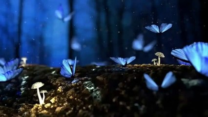 220 hz - Mystic Music - Stress Reduction, Memory Loss, Control Angry, Improve Sleep & Attention Span